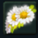 Crown of Daisies